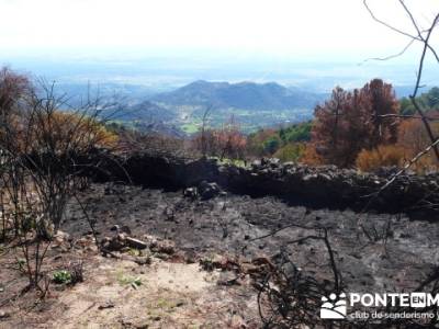 Castañar de la Sierra de San Vicente - Convento del Piélago;duques de alburquerque;grupos para hac